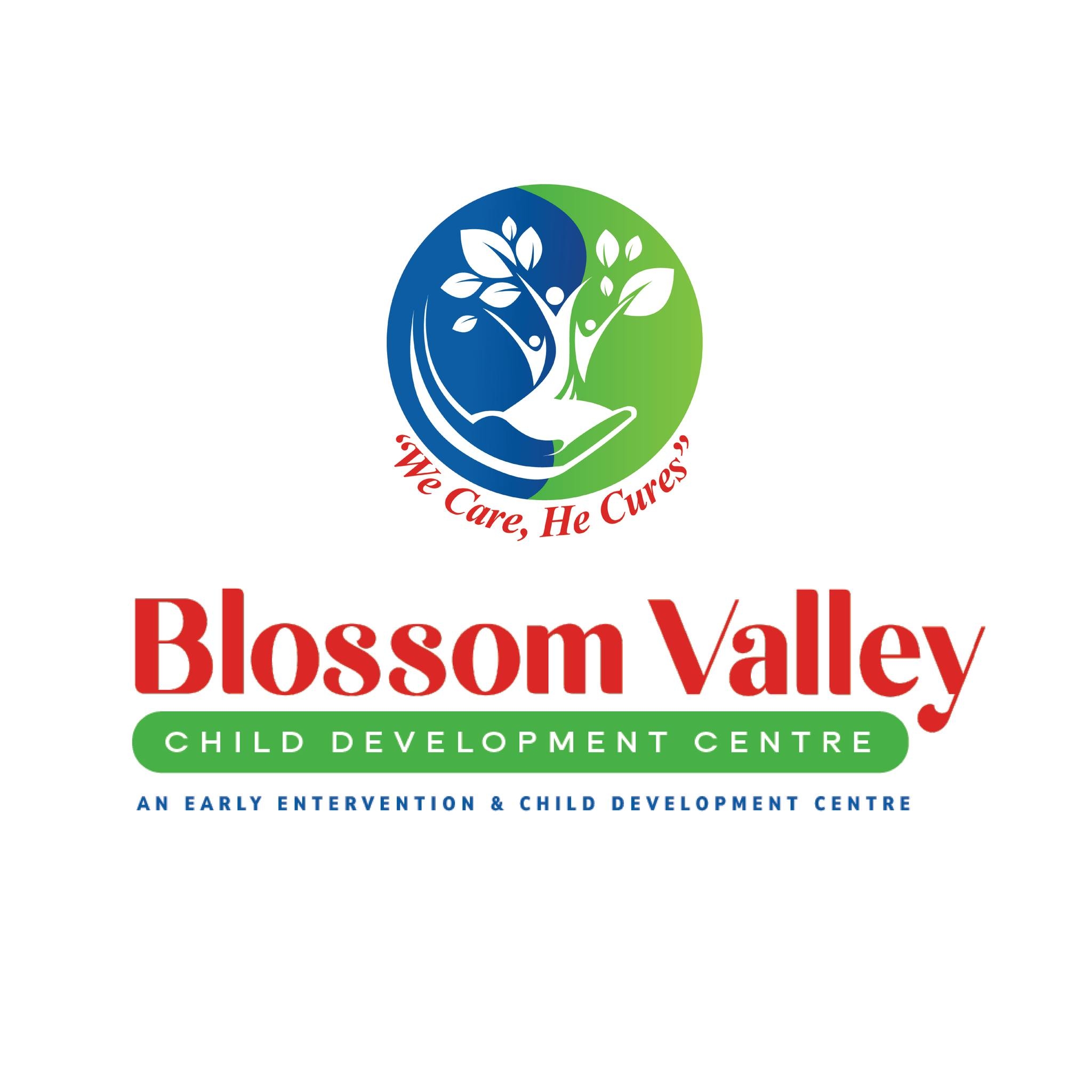 Blossom Valley Therapy Centre