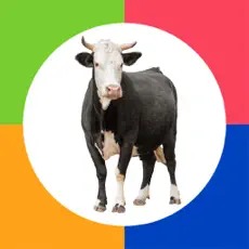 Preschool Games – Farm Animals by Photo Touch