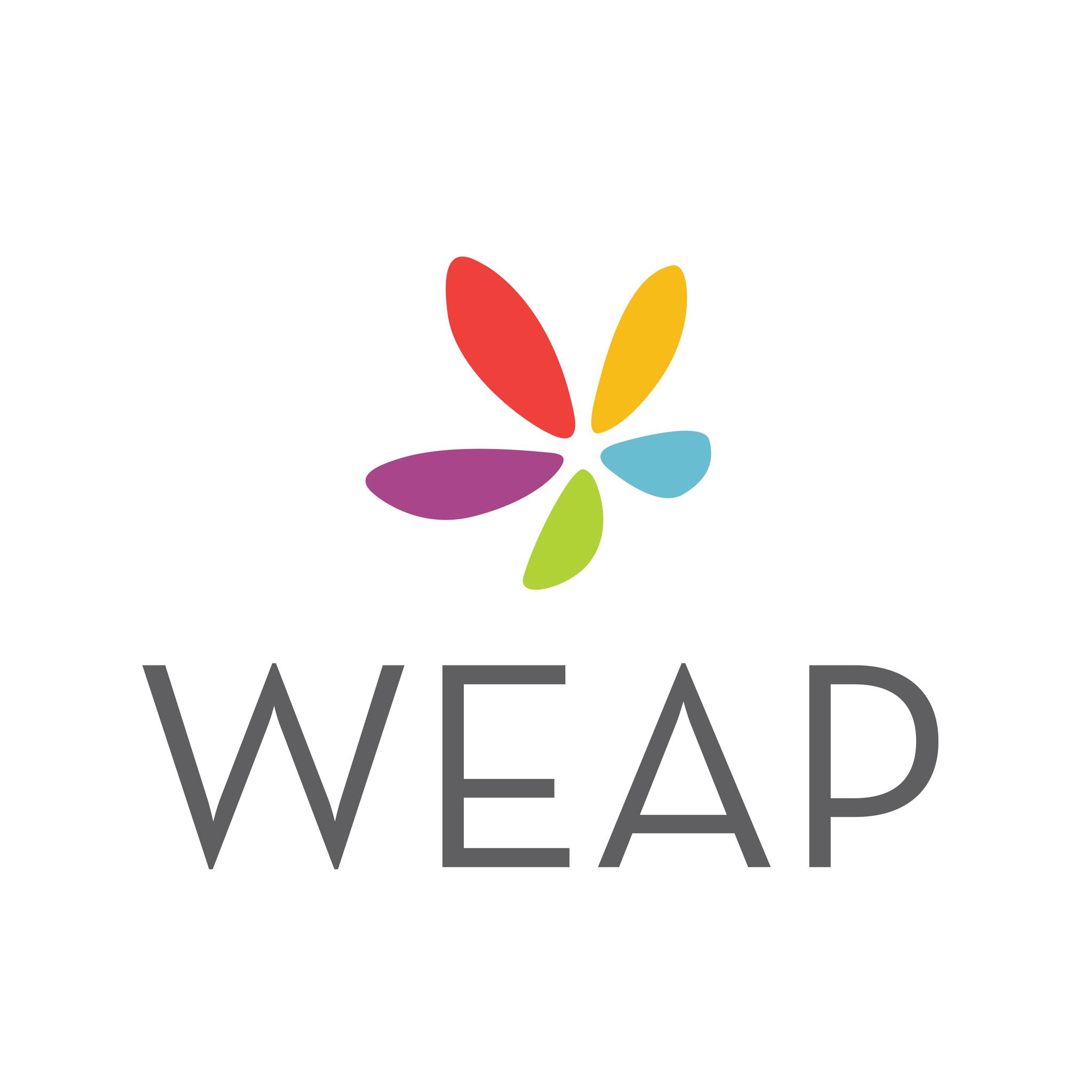 Wisconsin Early Autism Project