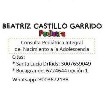 Beatriz Castillo Garrido