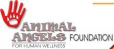 Animal Angels Foundation