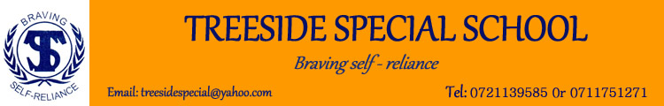 Treeside Special School