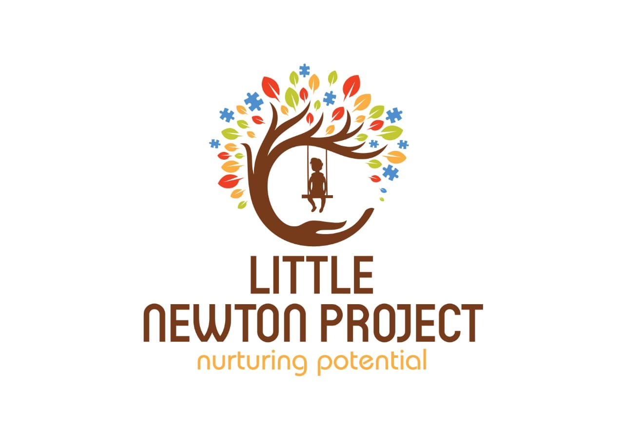 Little Newton Project