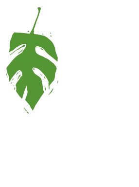 AUSTIN AREA SPEECH & LANGUAGE SERVICES