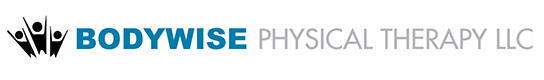 Bodywisenh Physical Therapy
