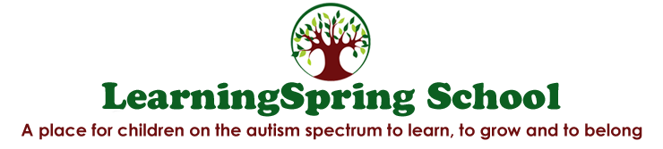 Learning Spring School