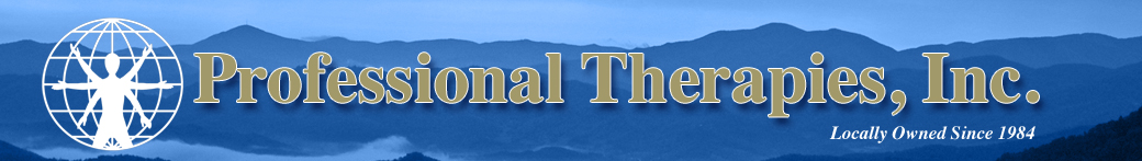 Professional Therapies