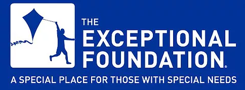 The Exceptional Foundation