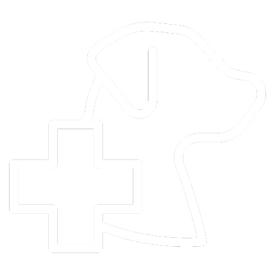 Animal Assisted Therapy