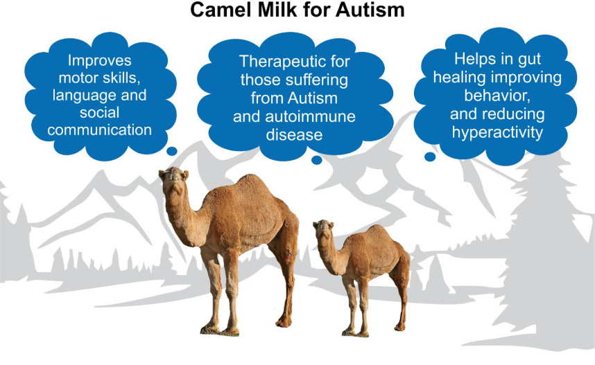 Benefits of Camel Milk for Autism