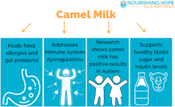 OTHER BENEFITS OF CAMEL MILK