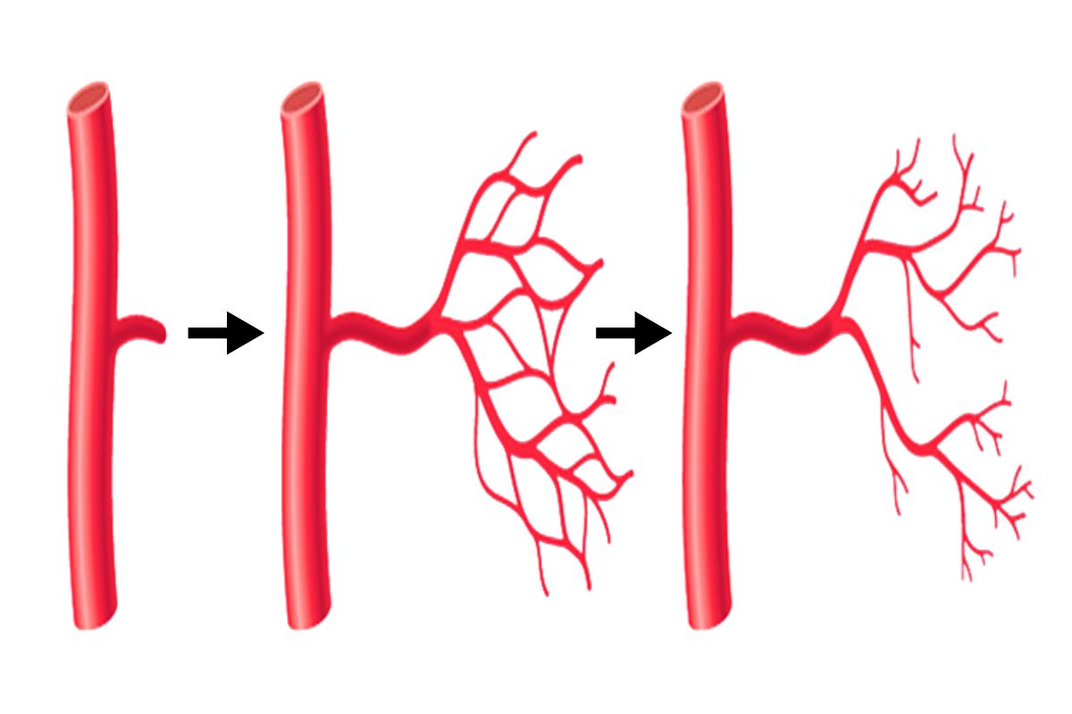 Regenerative Medicine