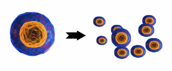 Regenerative Medicine