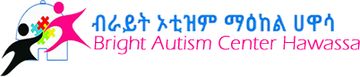 Bright Autism Center Hawassa
