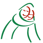 Day Center for Children and Adolescents with Autism Messinia