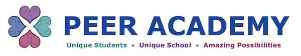 Peer Academy
