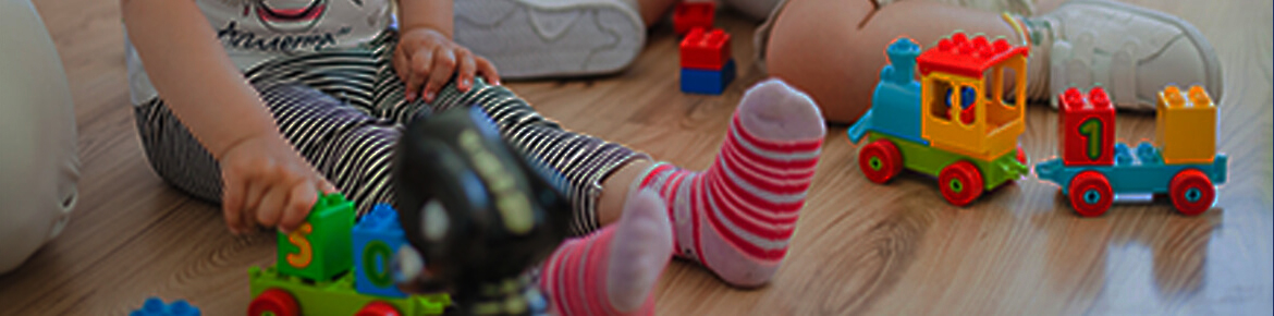 Toys & Therapeutic Accessories Stores