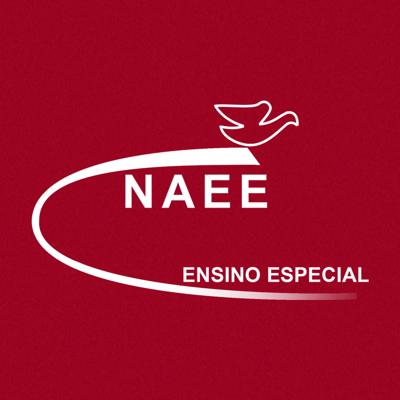 NAEE - Center for Special Education and Support