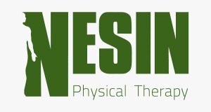 Nesin Therapy Services