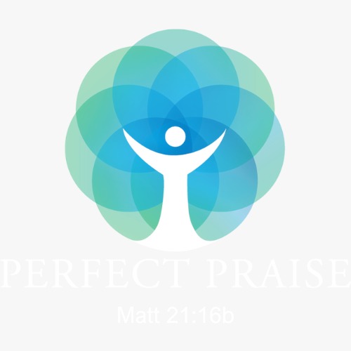 Perfect Praise