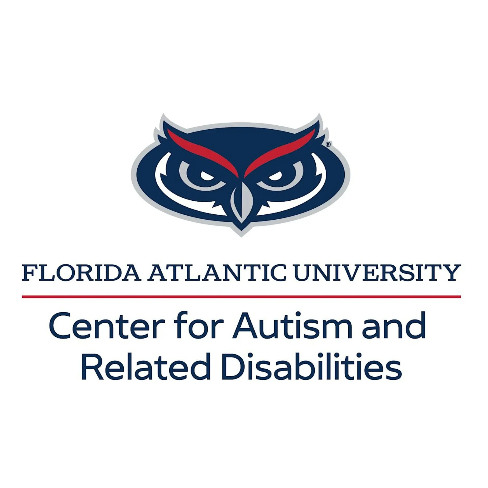 Instructional Strategies Language and Social Communication Autism